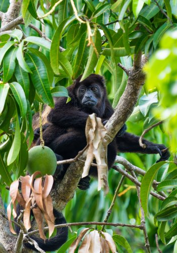 Costa Rica 2025 – Bild 134