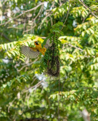 Costa Rica 2025 – Bild 176
