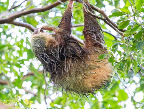 Costa Rica 2025 – Bild 204