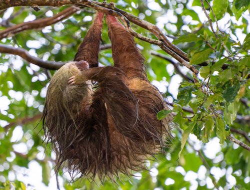 Costa Rica 2025 – Bild 205