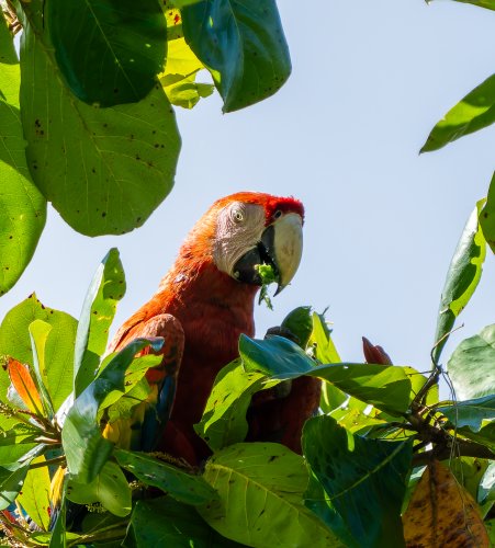 Costa Rica 2025 – Bild 222