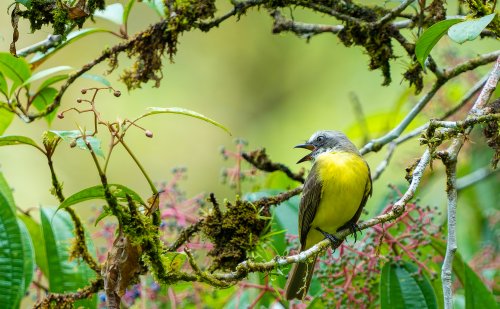 Costa Rica 2025 – Bild 237