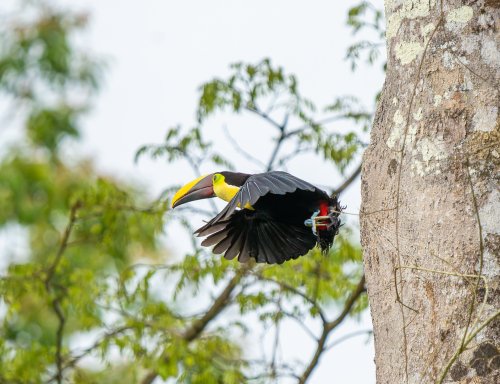 Costa Rica 2025 – Bild 267