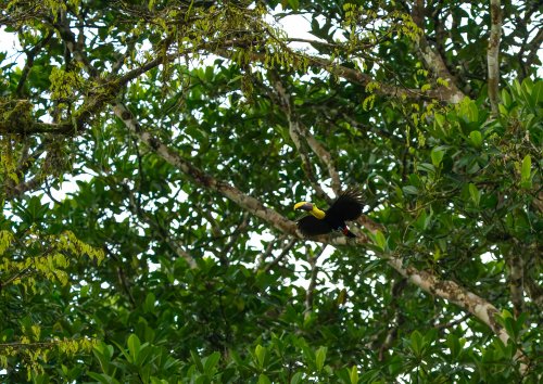 Costa Rica 2025 – Bild 272