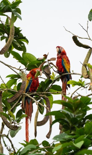 Costa Rica 2025 – Bild 273