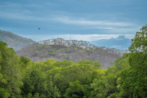 Costa Rica 2025 – Bild 34