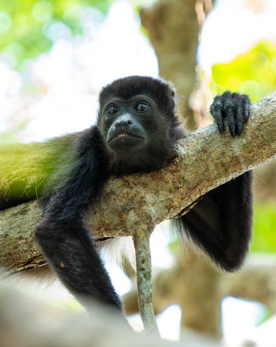 Costa Rica 2025 – Bild 58
