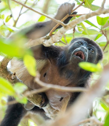 Costa Rica 2025 – Bild 62