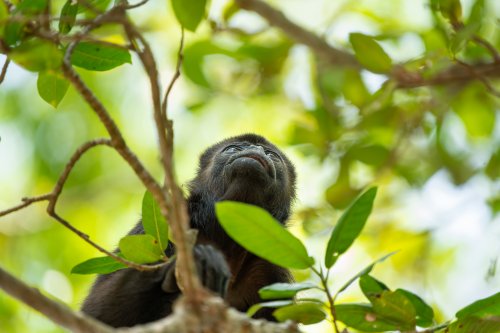Costa Rica 2025 – Bild 64