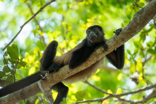 Costa Rica 2025 – Bild 70