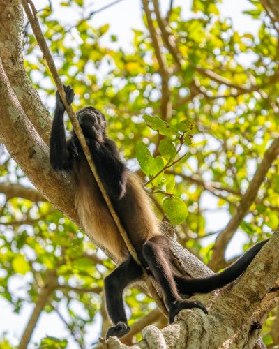 Costa Rica 2025 – Bild 73