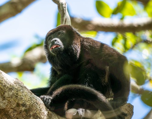 Costa Rica 2025 – Bild 74