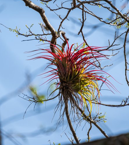 Costa Rica 2025 – Bild 85